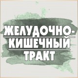 Желудочно кишечный тракт