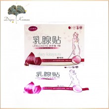 Пластырь от мастопатии 